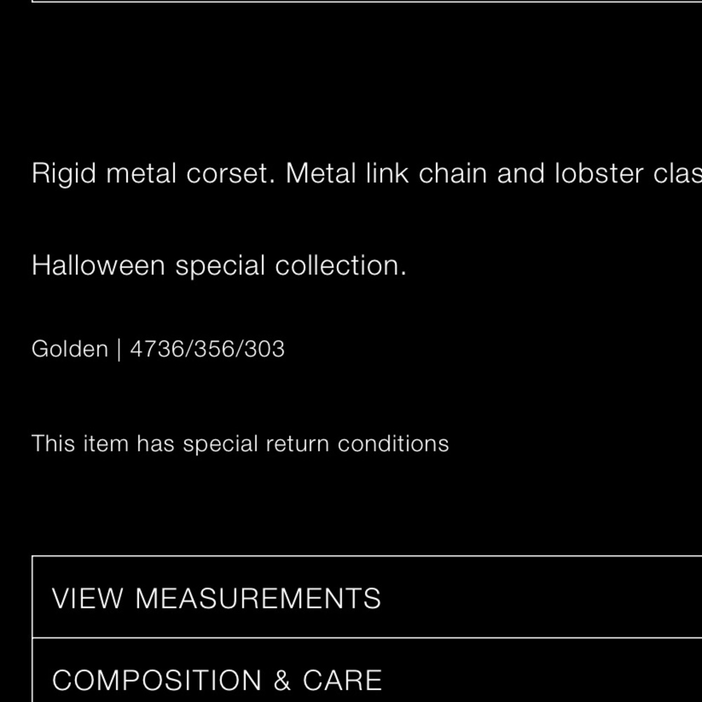 Metal Corset - Picture 4 of 4
